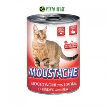 MOUSTACHE BOCCONCINI CARNE GR. 400